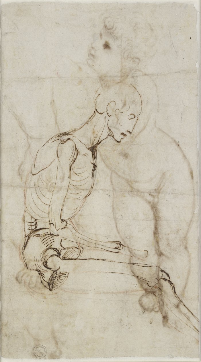 Verso：研究骷髅，WA1855.91 作者 拉斐尔（Raffaello Sanzio Raphael）
