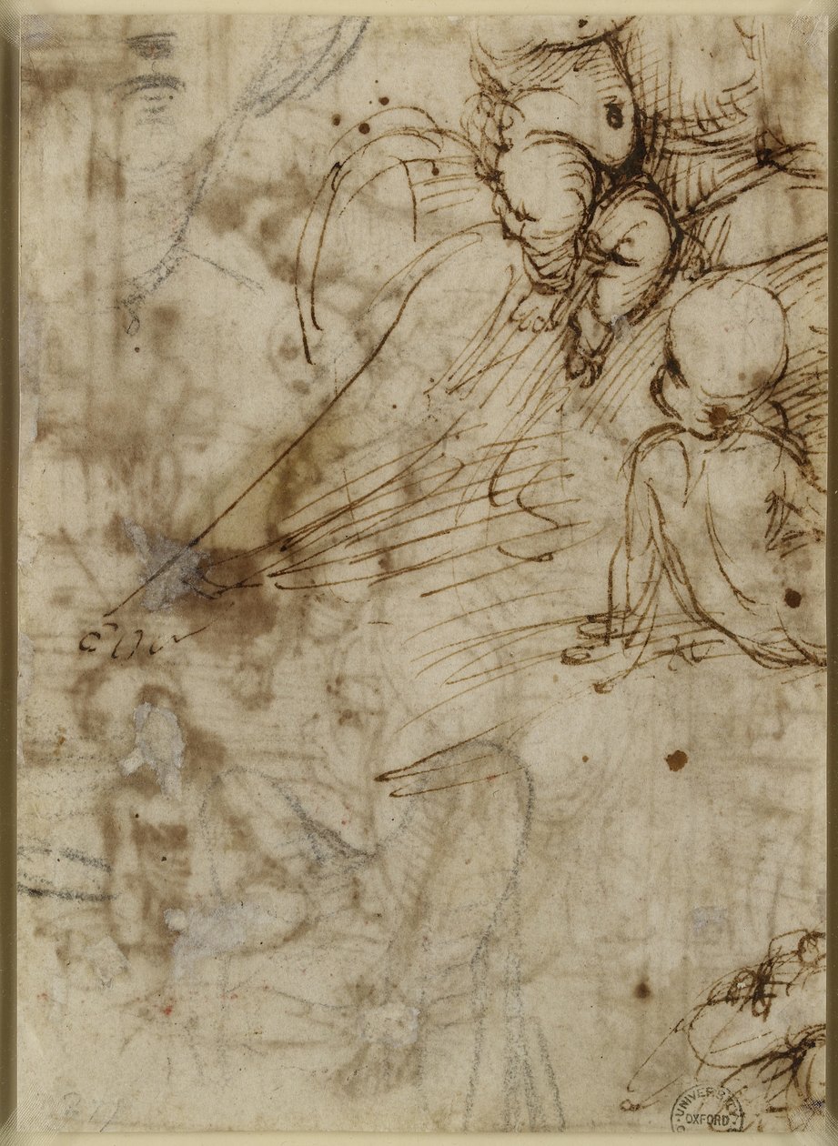 Verso：The Virgin，WA1846.162 作者 拉斐尔（Raffaello Sanzio Raphael）