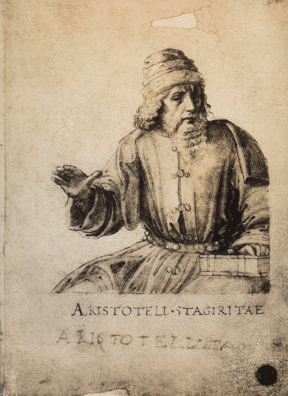 亚里士多德;拉斐尔画的。 Gallerie dellAccademia，威尼斯 作者 拉斐尔（Raffaello Sanzio Raphael）