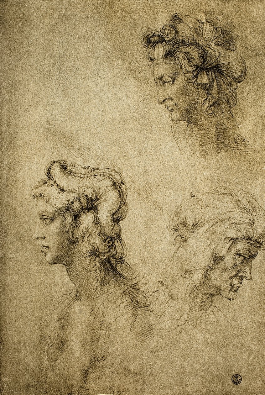 研究女性头像，拉斐尔绘画;内阁图纸和版画，乌菲齐画廊，佛罗伦萨 作者 拉斐尔（Raffaello Sanzio Raphael）
