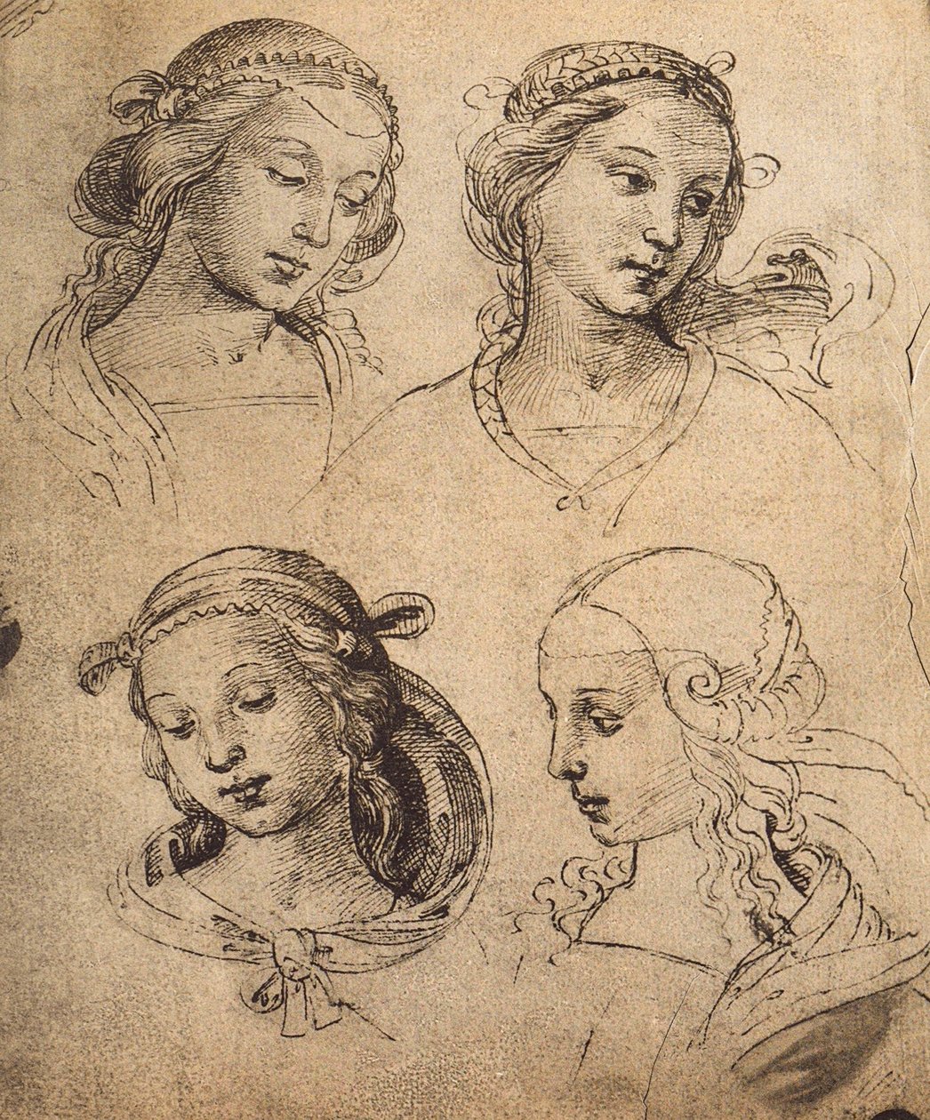研究四个女性面孔;拉斐尔画的。 Gallerie dellAccademia，威尼斯 作者 拉斐尔（Raffaello Sanzio Raphael）