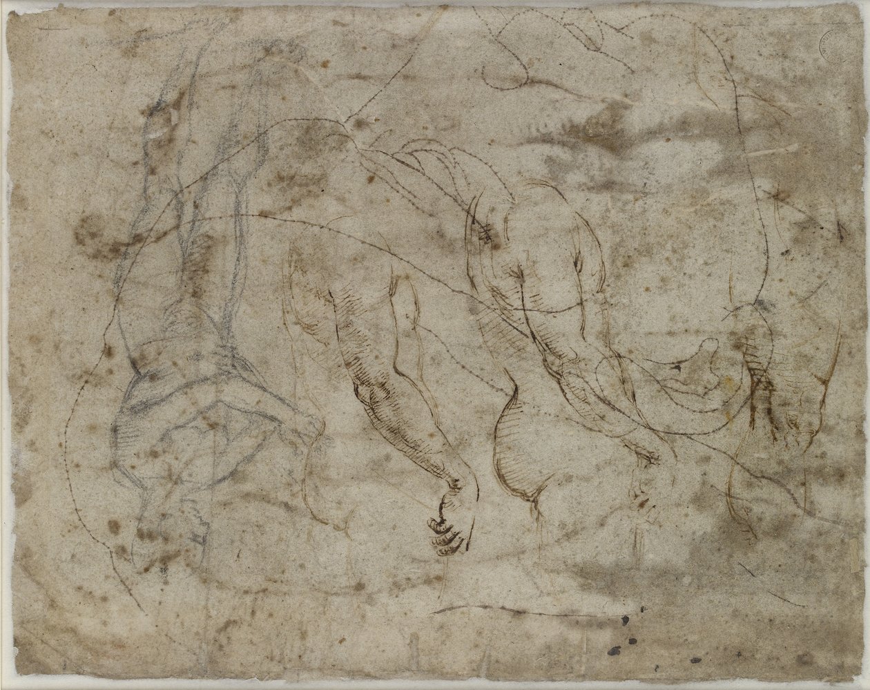 Verso：两项关于武器的研究，一个向上看的轮廓和一个站立的身材，WA1846.164（笔和墨水，黑色粉笔，轮廓被刺破转移） 作者 拉斐尔（Raffaello Sanzio Raphael）