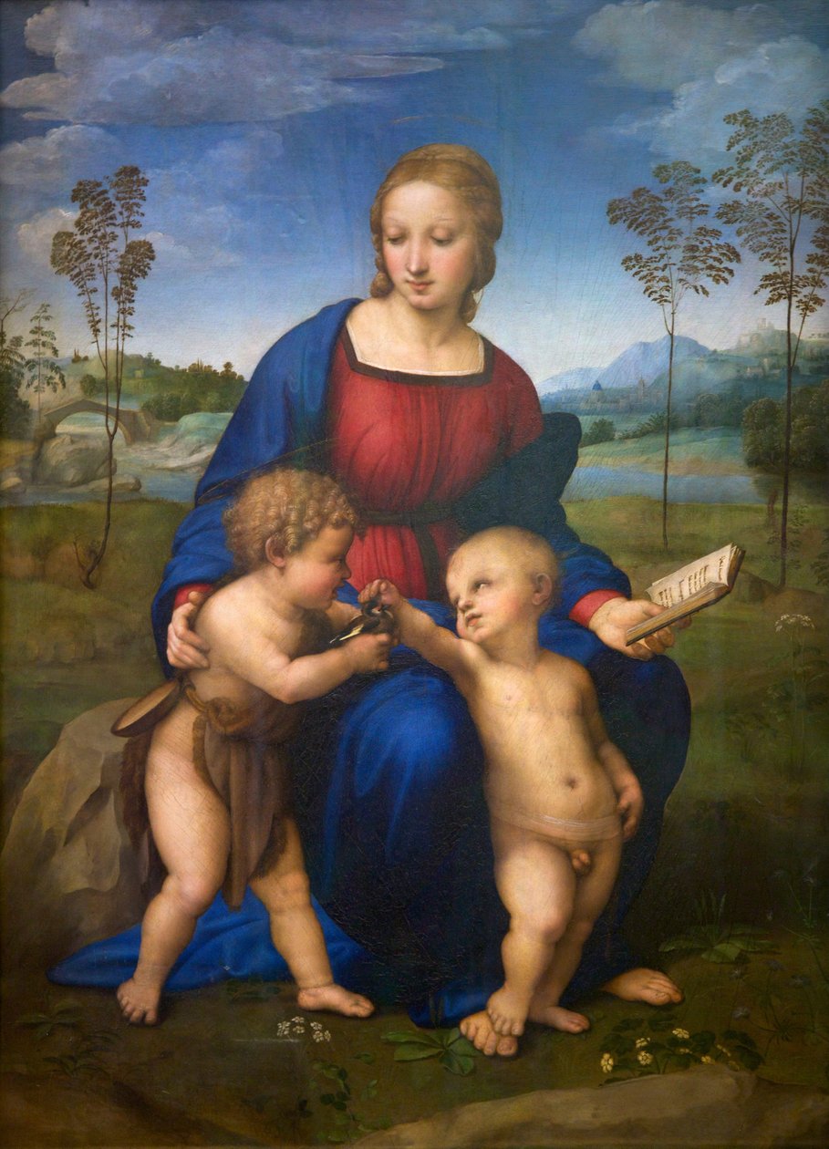 金翅雀圣母（Madonna del Cardellino），约 1505-06 年（布面油画）（修复后） 作者 拉斐尔 (1483-1520)