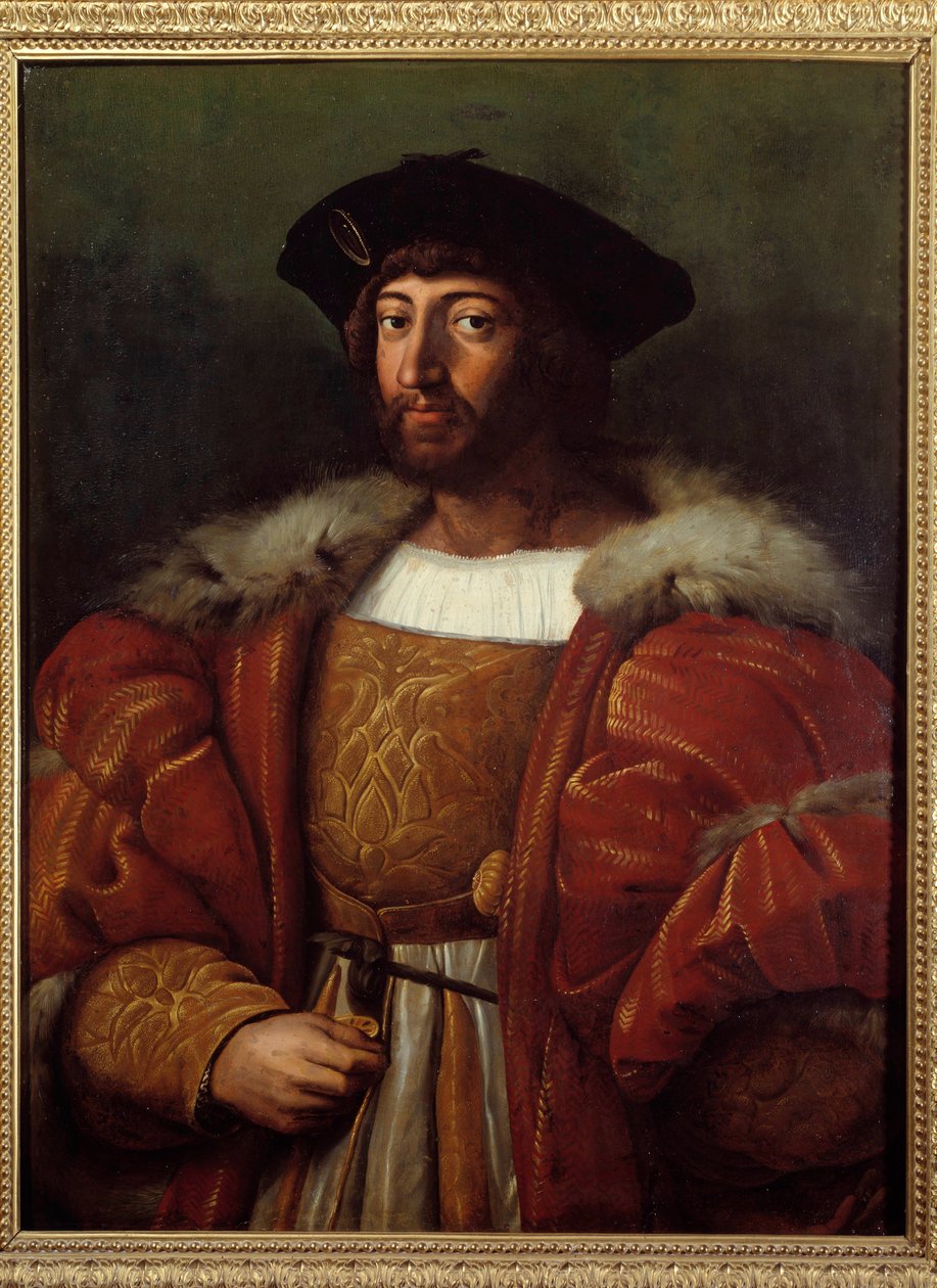 Portrait of Laurent II de Medicis, Duke of Urbino (Urbino) (1492-1519) (Lorenzo de Medici) Painting by Raffaello Sanzio dit Raphael (1483-1520) 16th century. Montpellier Fabre Museum 作者 拉斐尔