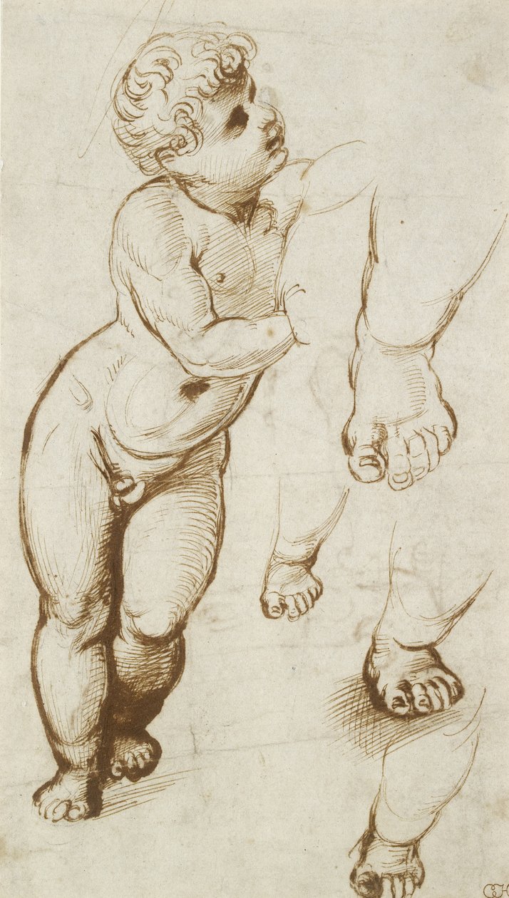 The Infant Christ and other Studies（白纸上的钢笔和深棕色墨水在引导点的初步指示上） 作者 拉斐尔