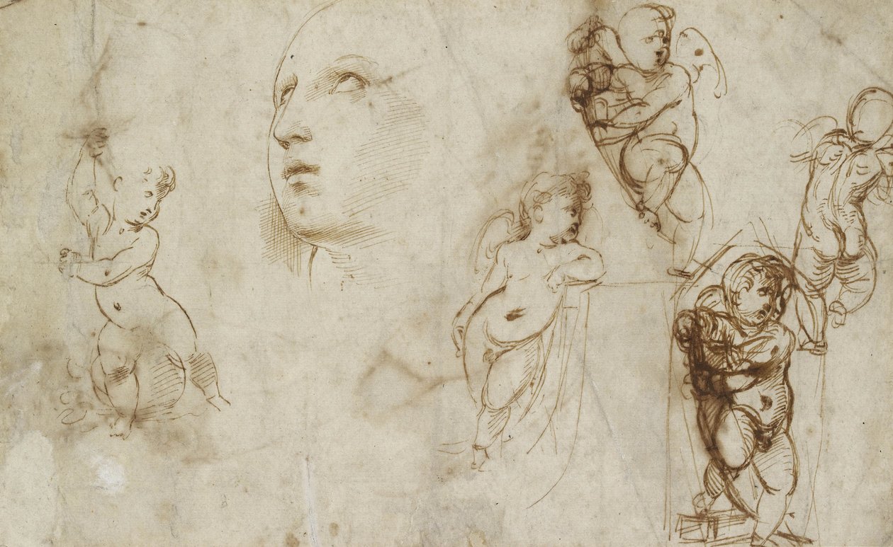 各种研究，主要针对 Borghese-Beckford St Catherine（米色纸上的钢笔和棕色墨水） 作者 拉斐尔