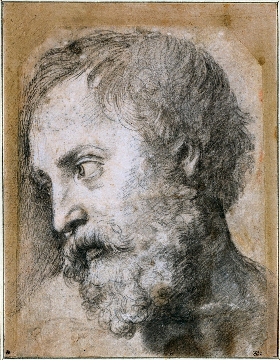 使徒变身研究的负责人，1519年至1520年 作者 拉斐尔（Raffaello Sanzio Raphael）