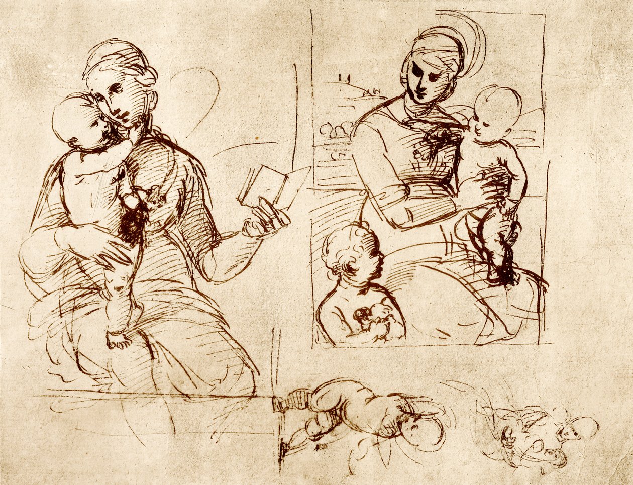 麦当娜的两项研究 作者 拉斐尔（Raffaello Sanzio Raphael）