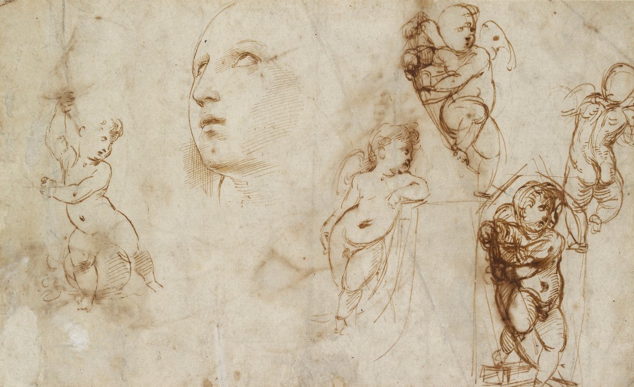 各种研究，主要是为Borghese-Beckford的圣凯瑟琳，16世纪初 作者 拉斐尔