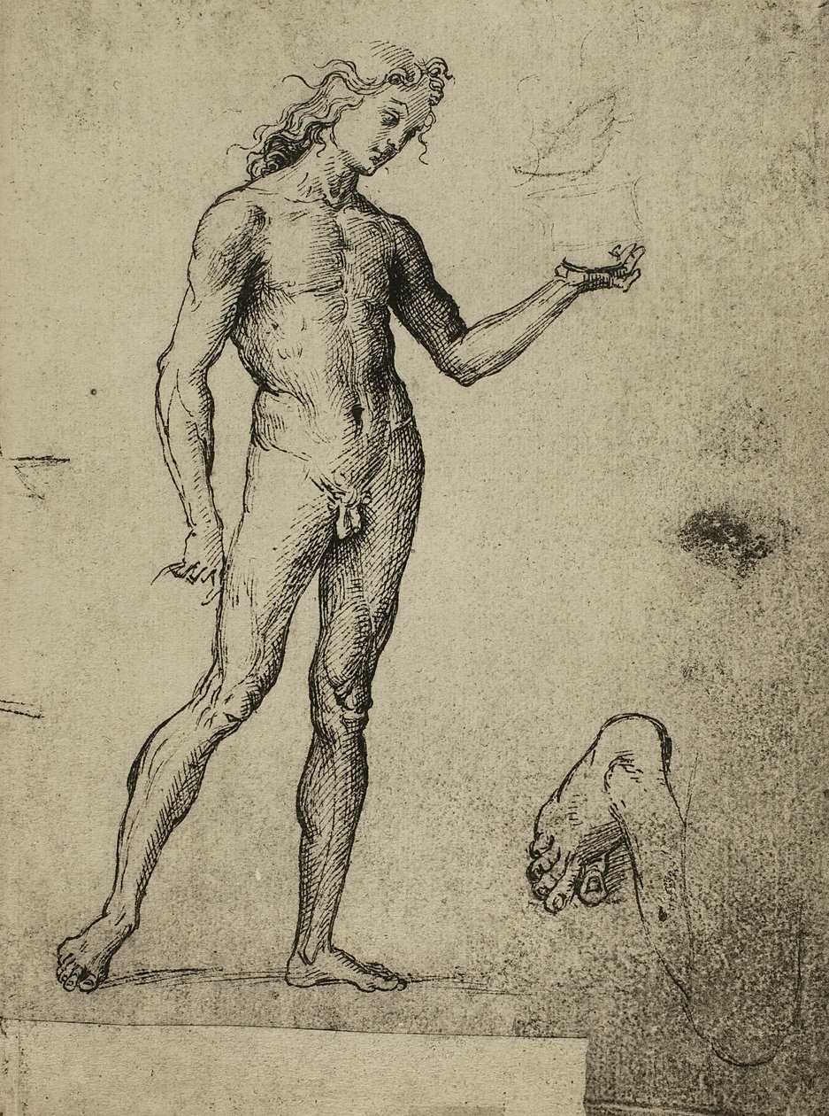 男性裸体研究;拉斐尔画的。 Gallerie dellAccademia，威尼斯 作者 拉斐尔（Raffaello Sanzio Raphael）