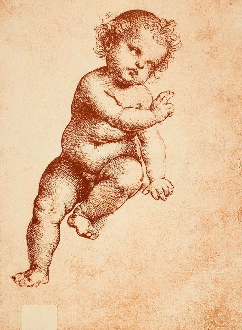 研究一个小耶稣，拉斐尔画。 Gallerie dellAccademia，威尼斯 作者 拉斐尔（Raffaello Sanzio Raphael）