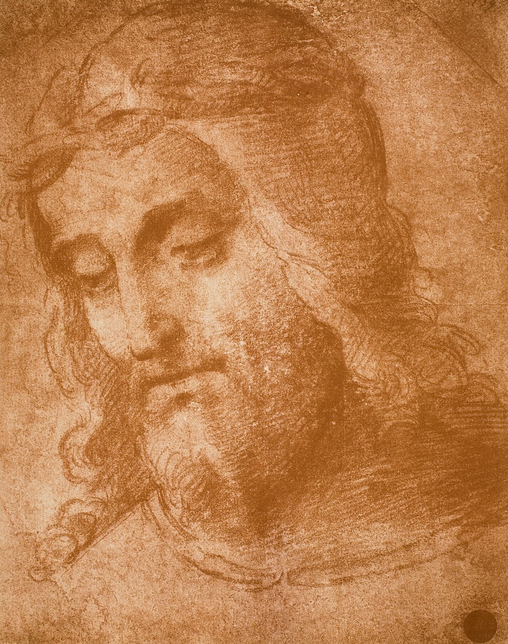研究拉斐尔绘制的救赎主面貌。 Gallerie dellAccademia，威尼斯 作者 拉斐尔（Raffaello Sanzio Raphael）