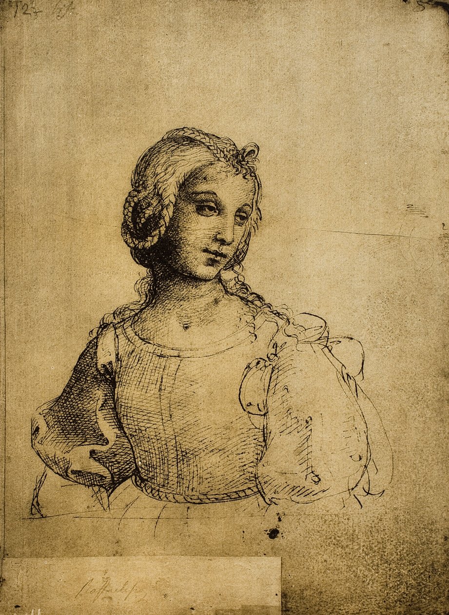 研究一个女人;拉斐尔画的。 Gallerie dellAccademia，威尼斯 作者 拉斐尔（Raffaello Sanzio Raphael）