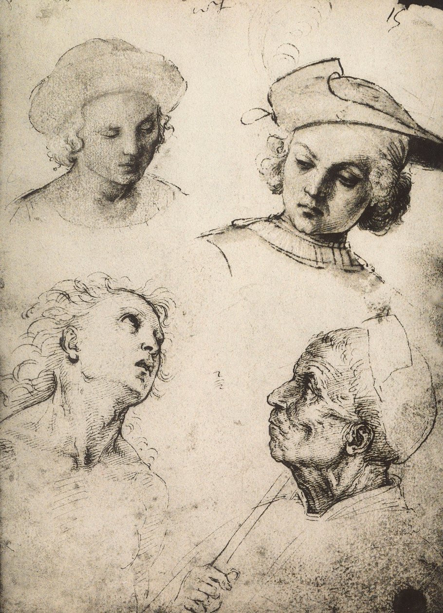 研究四个男性面孔;拉斐尔画的。 Gallerie dellAccademia，威尼斯 作者 拉斐尔（Raffaello Sanzio Raphael）