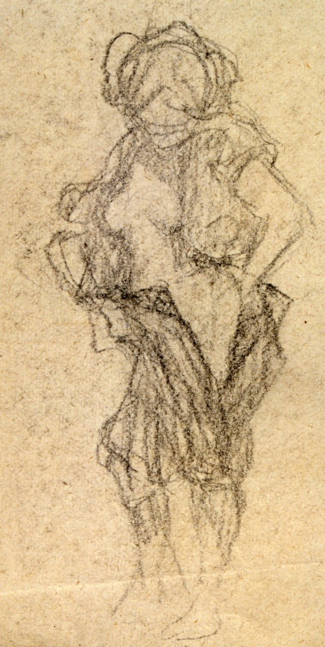 裸体研究，约1905年（画）。 作者 拉斐尔·基希纳（Raphael Kirchner）