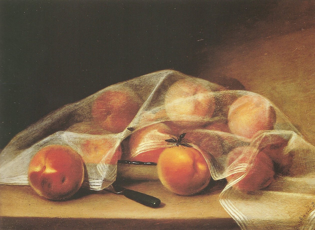 用手帕包着桃子的水果块--raphaelle peale 作者 拉斐尔·皮尔（Raphaelle Peale）