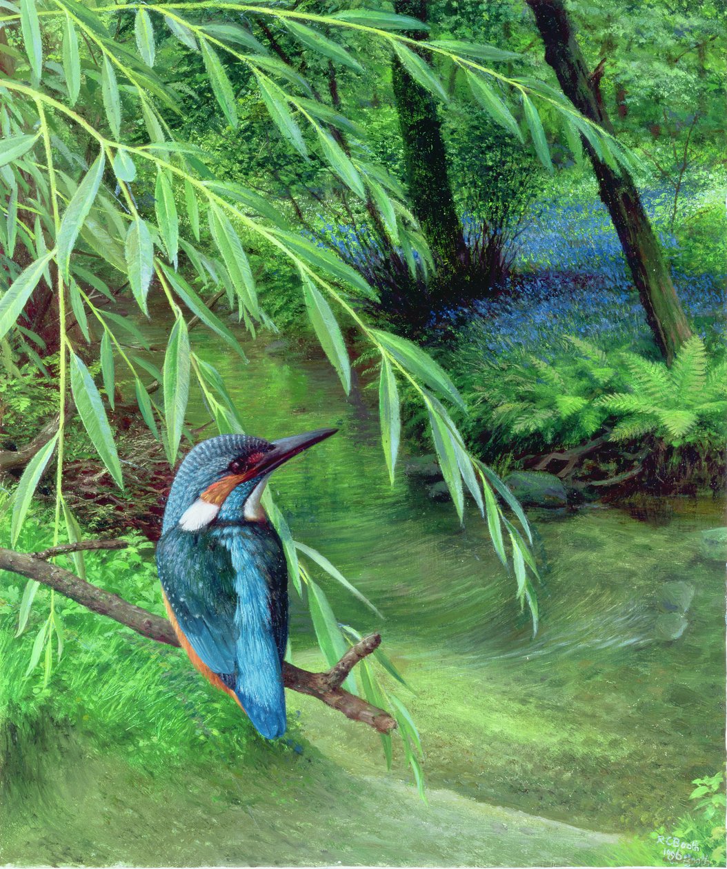翠鸟 作者 雷蒙德·布斯