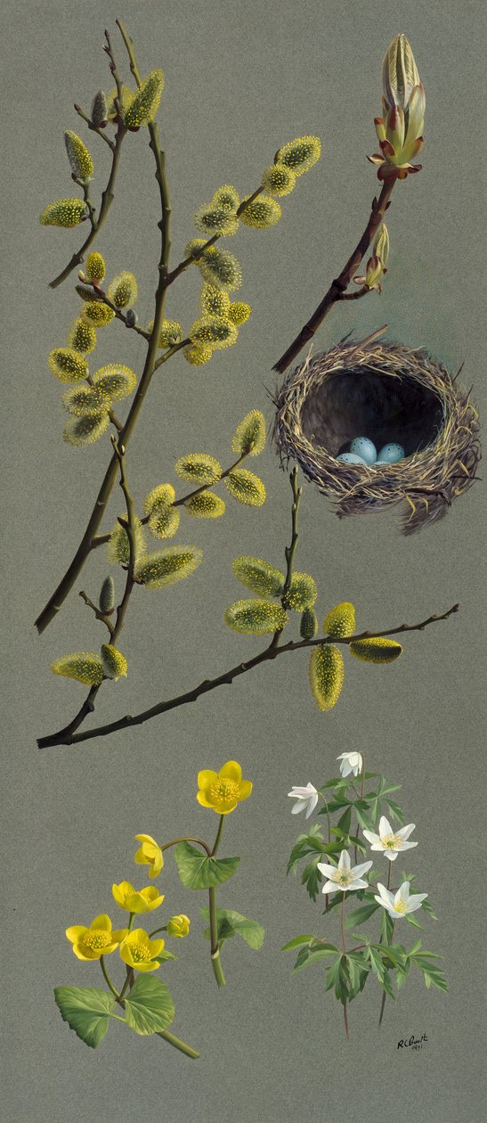 春季研究（纸面油画） 作者 雷蒙德·布斯