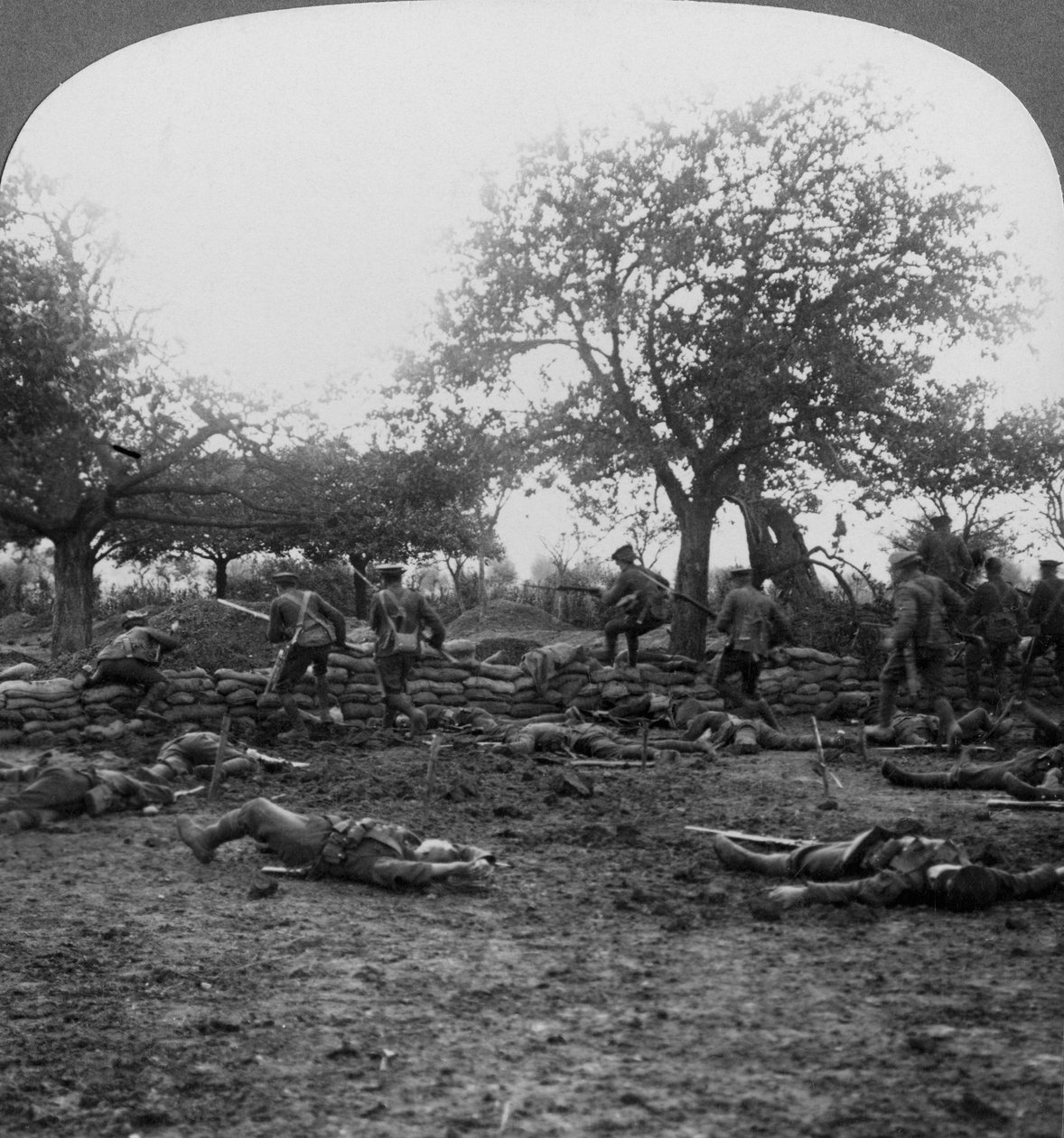 第一次世界大战战场场景，1914-1918年。 作者 现实旅行社