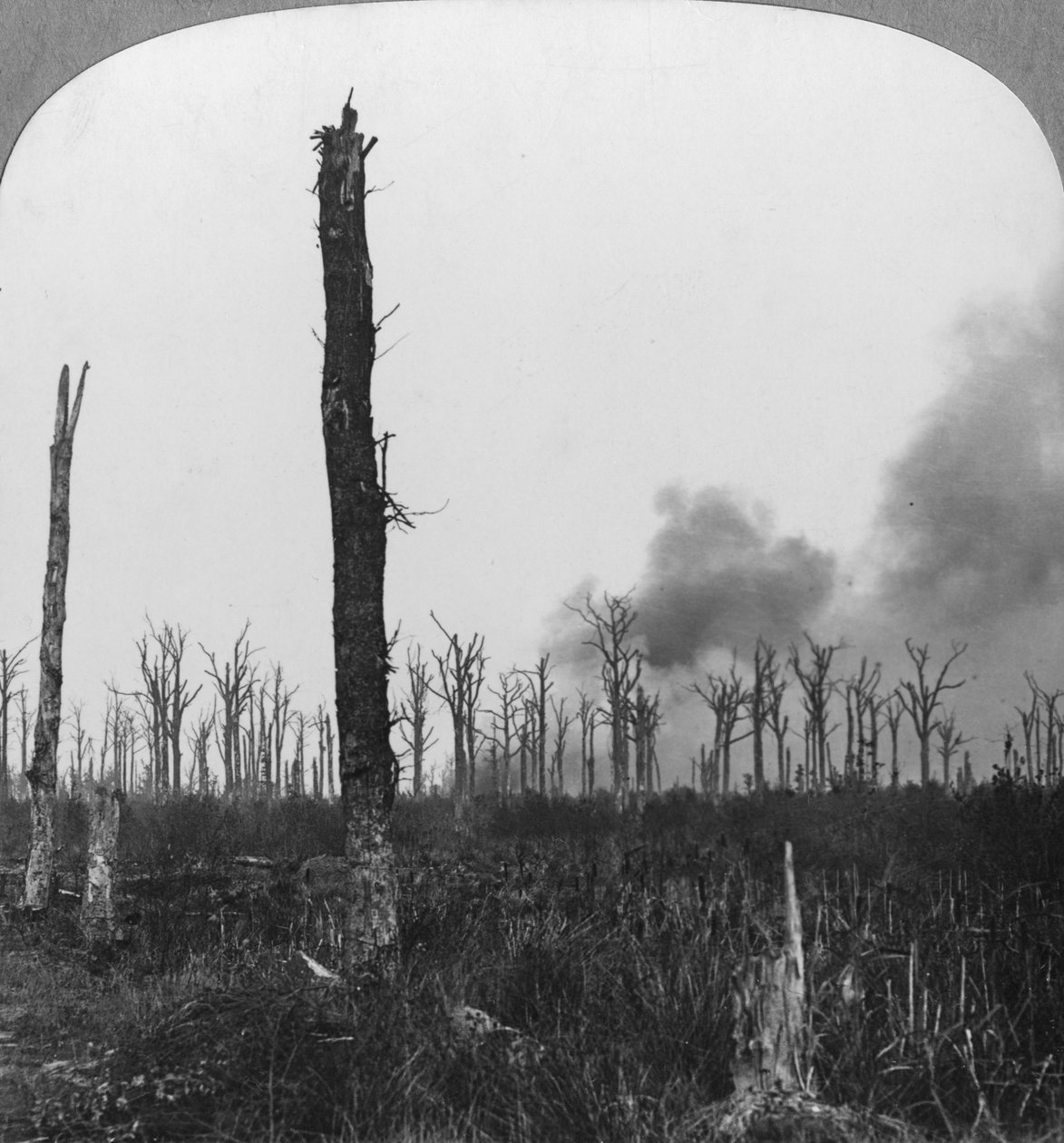 第一次世界大战，法国Mametz Wood，高爆弹爆炸，1916年 作者 现实旅行社