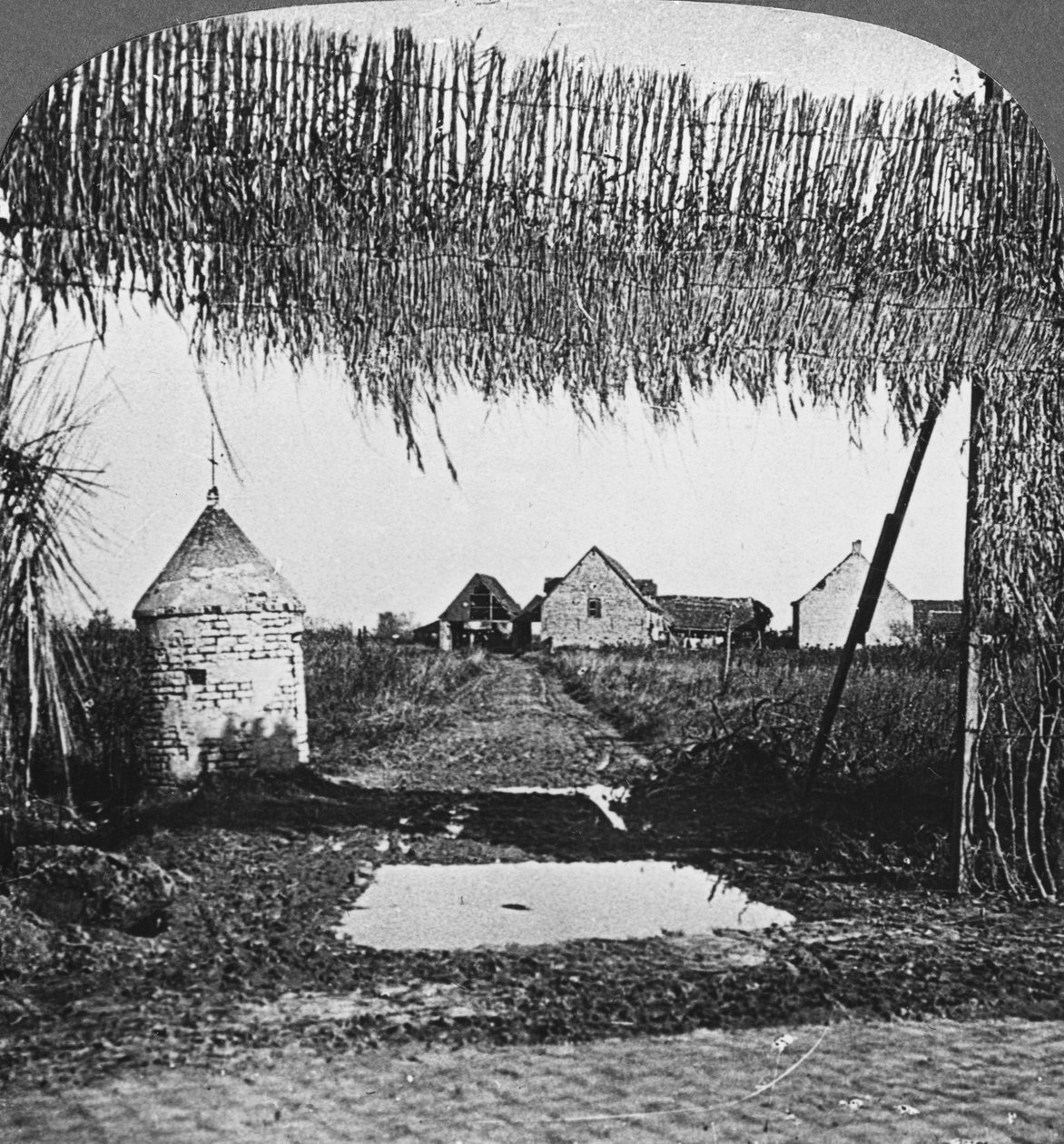 巧妙的伪装，第一次世界大战，c1914-c1918。 作者 现实旅行社