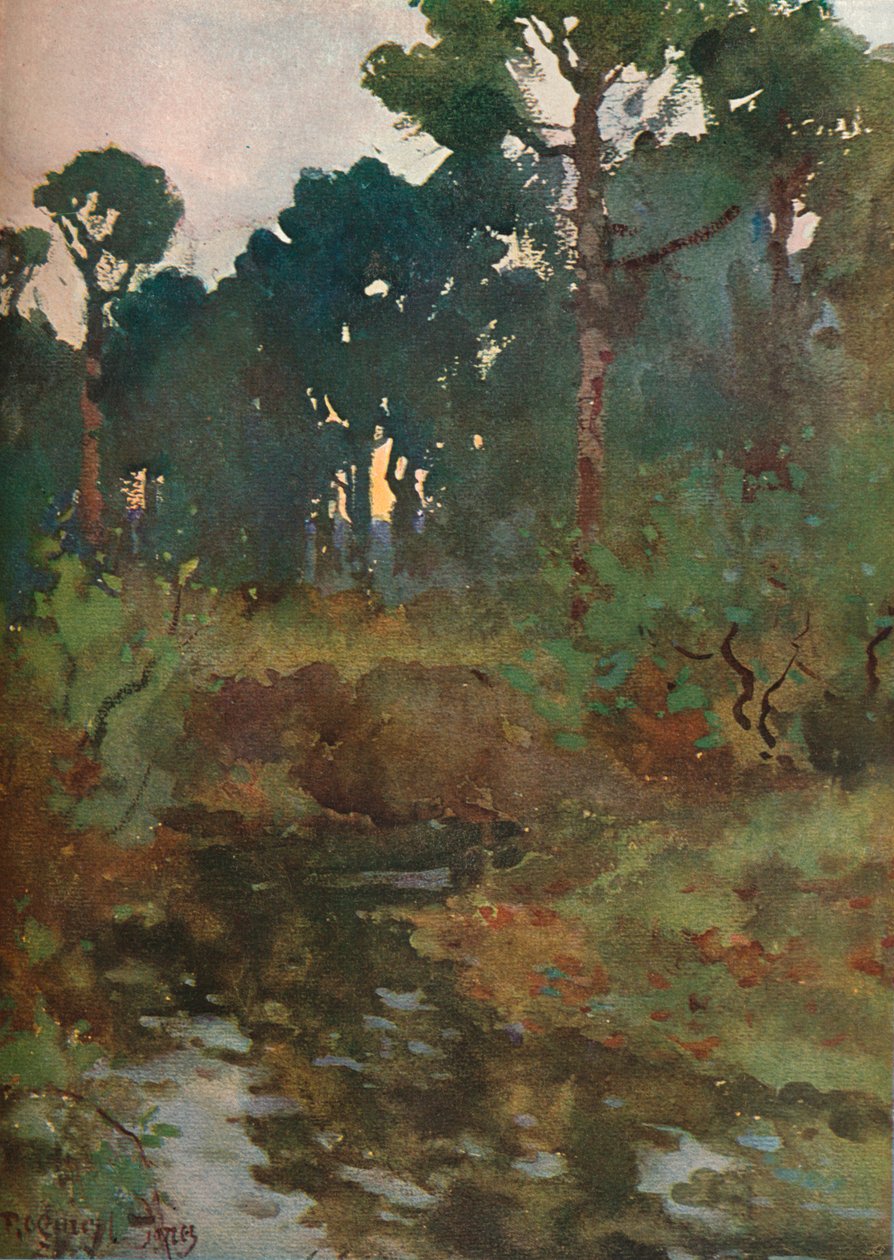 装饰性景观研究，c1903 1903-1904 作者 雷金纳德·琼斯（Reginald Jones）
