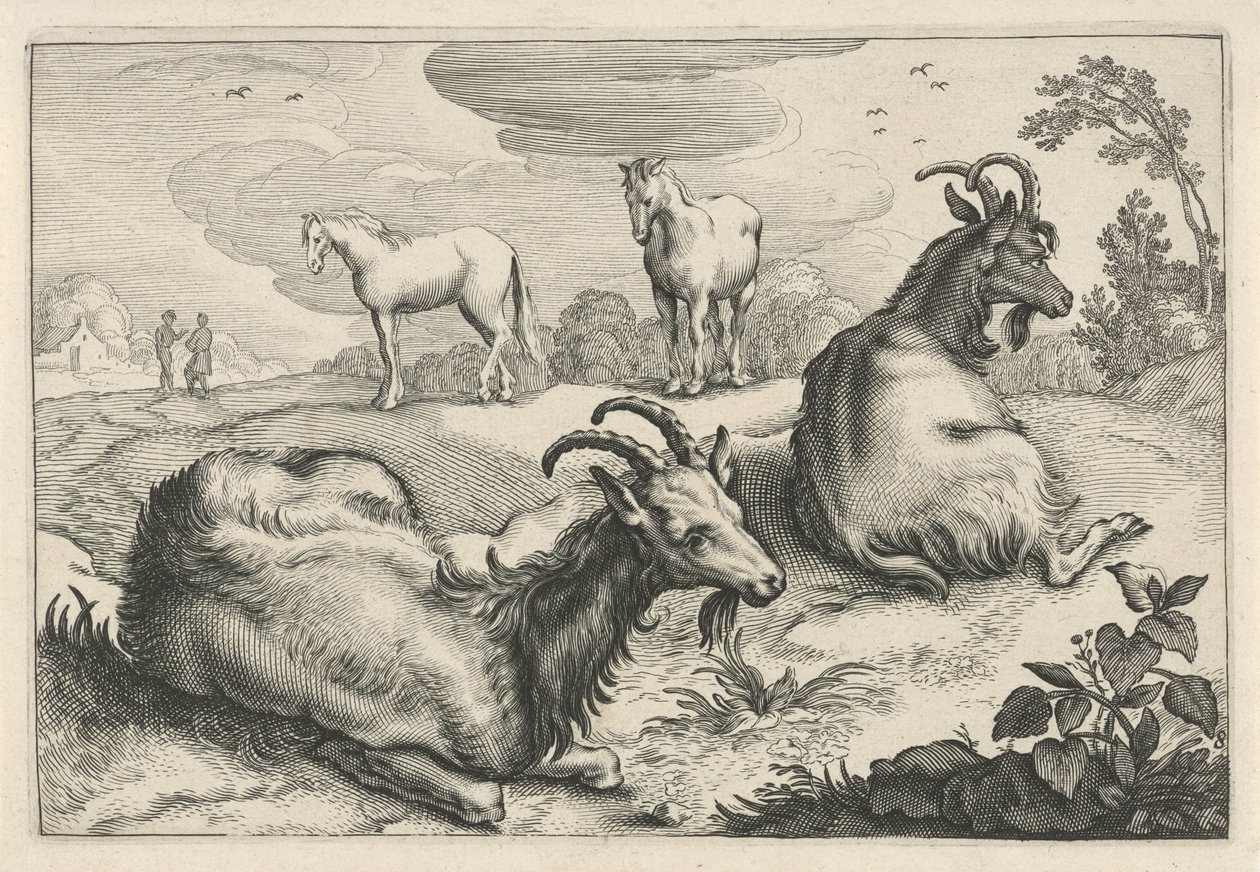 两只山羊和两匹马的风景
Diversa Animalia Quadrupedia（系列名称） 作者 雷尼尔·范·佩西恩