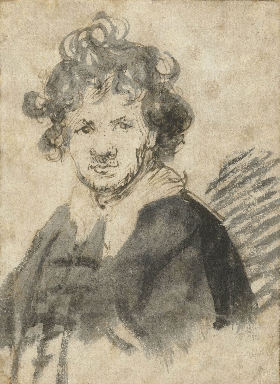 Tousled Hair的自画像，c.1628-29 作者 伦勃朗·范·赖恩