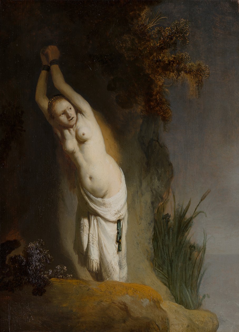 Andromeda，c.1630 作者 伦勃朗·范·赖恩