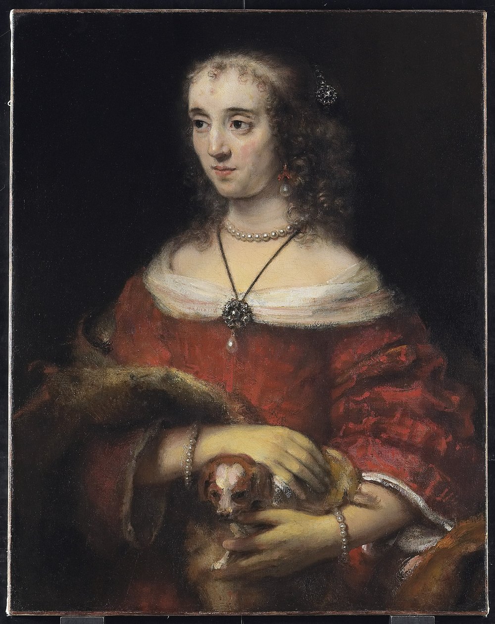 一位夫人的画象有一条膝部狗的，c.1665 作者 伦勃朗·范·赖恩