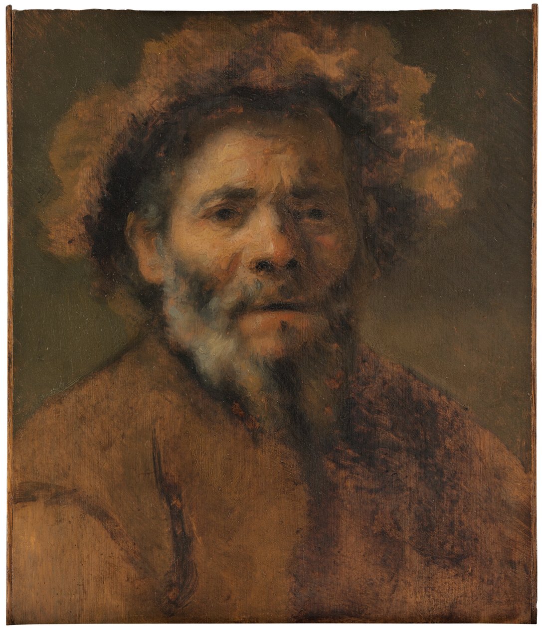 一位老人的研究 作者 伦勃朗·哈门斯（Rembrandt Harmensz）。伦勃朗·哈门斯的范·里恩（van Rijn）圈子。范·赖恩环
