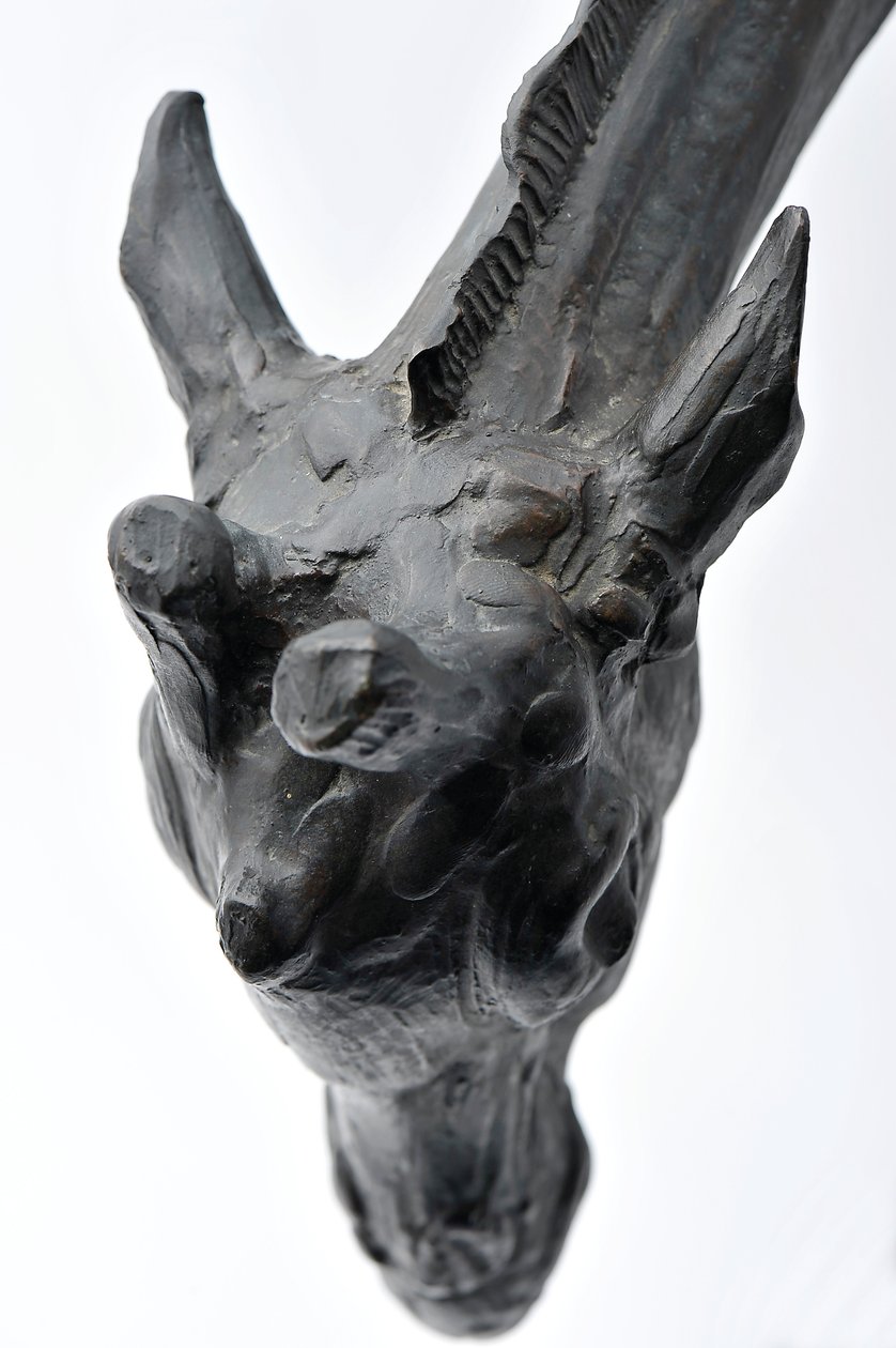 降低头部的大型长颈鹿，模型于1909-10，铸造于1913年之前（青铜）（另请参阅3084917-43） 作者 伦勃朗·布加迪