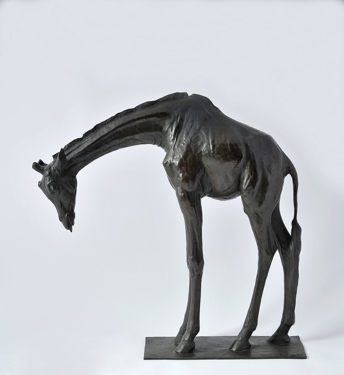 降低头部的大型长颈鹿，模型于1909-10，铸造于1913年之前 作者 伦勃朗·布加迪