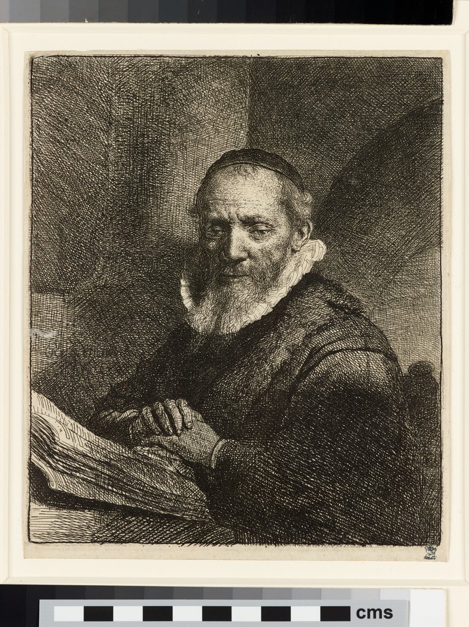 Jan Cornelis Dubois传教士的肖像 作者 伦勃朗·范·赖恩