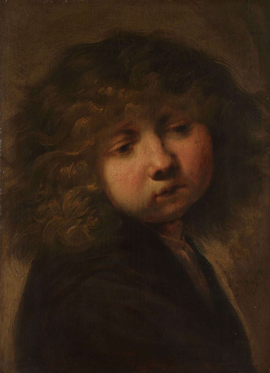男孩的头 作者 Rembrandt van Rijn (圈子)