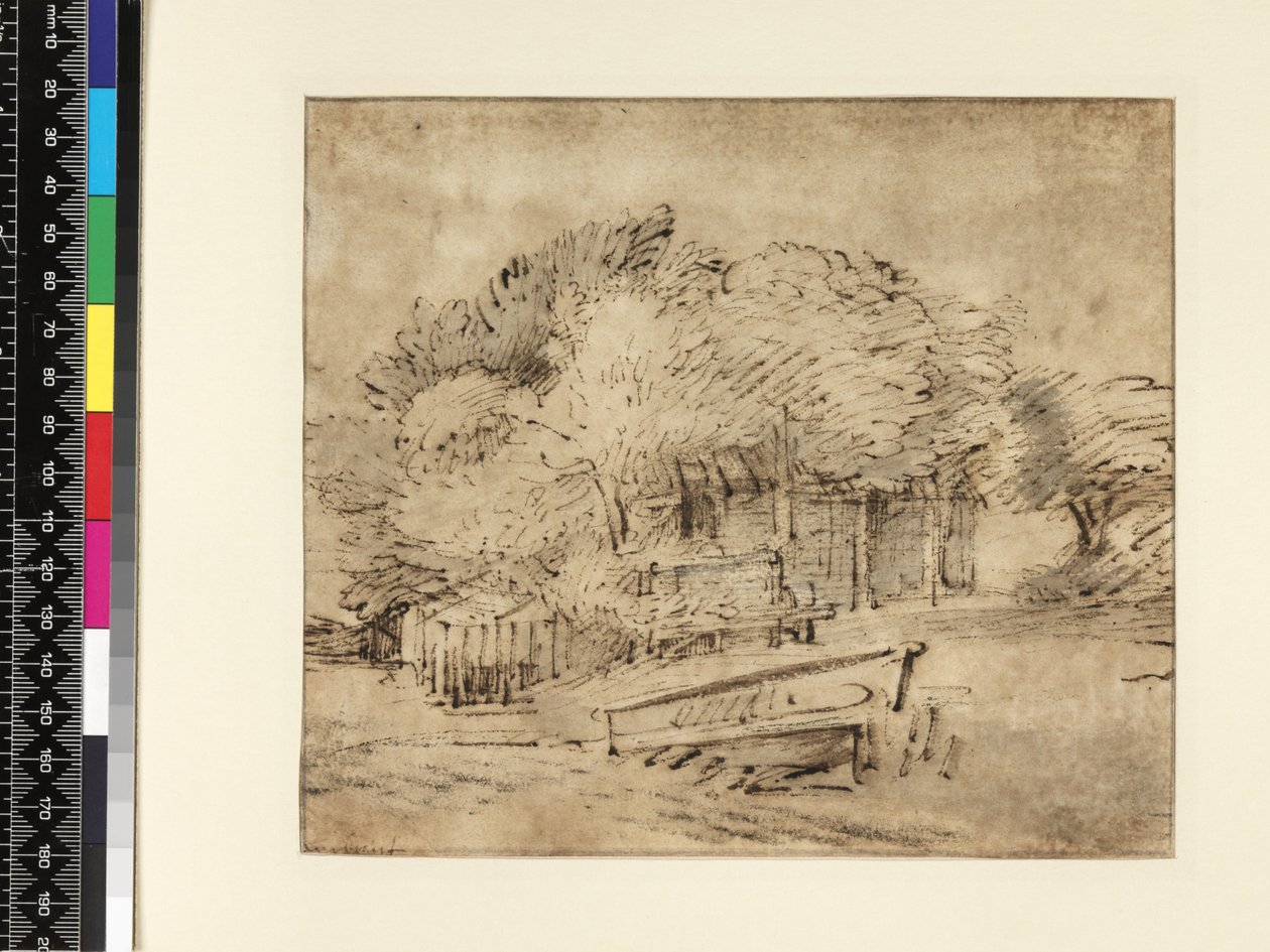 树下的农舍，带人行桥，1650年（笔和墨水在纸上洗） 作者 伦勃朗·范·赖恩