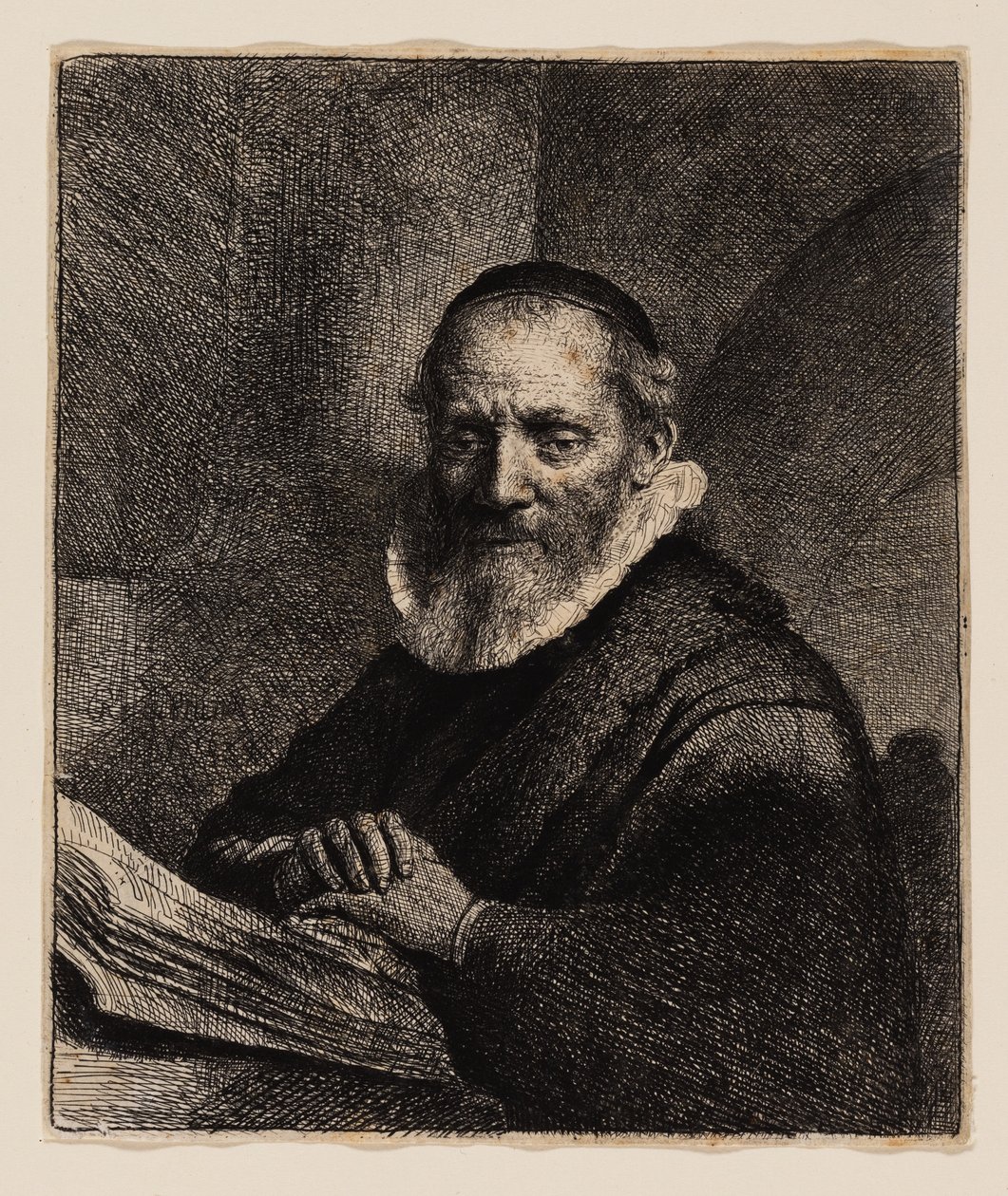 Jan Cornelius Sylvius 作者 伦勃朗·范·赖恩
