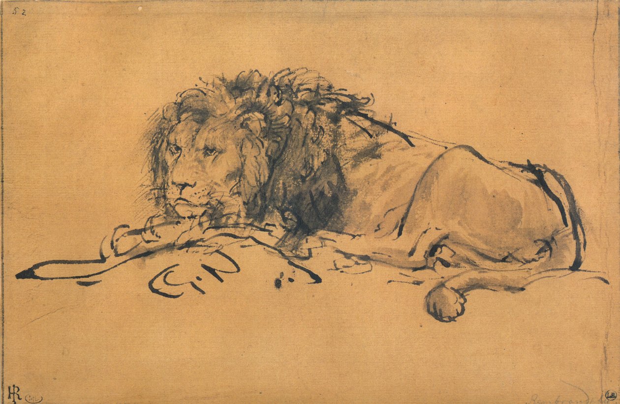 狮子休息，向左转，c1650 作者 伦勃朗·范·赖恩