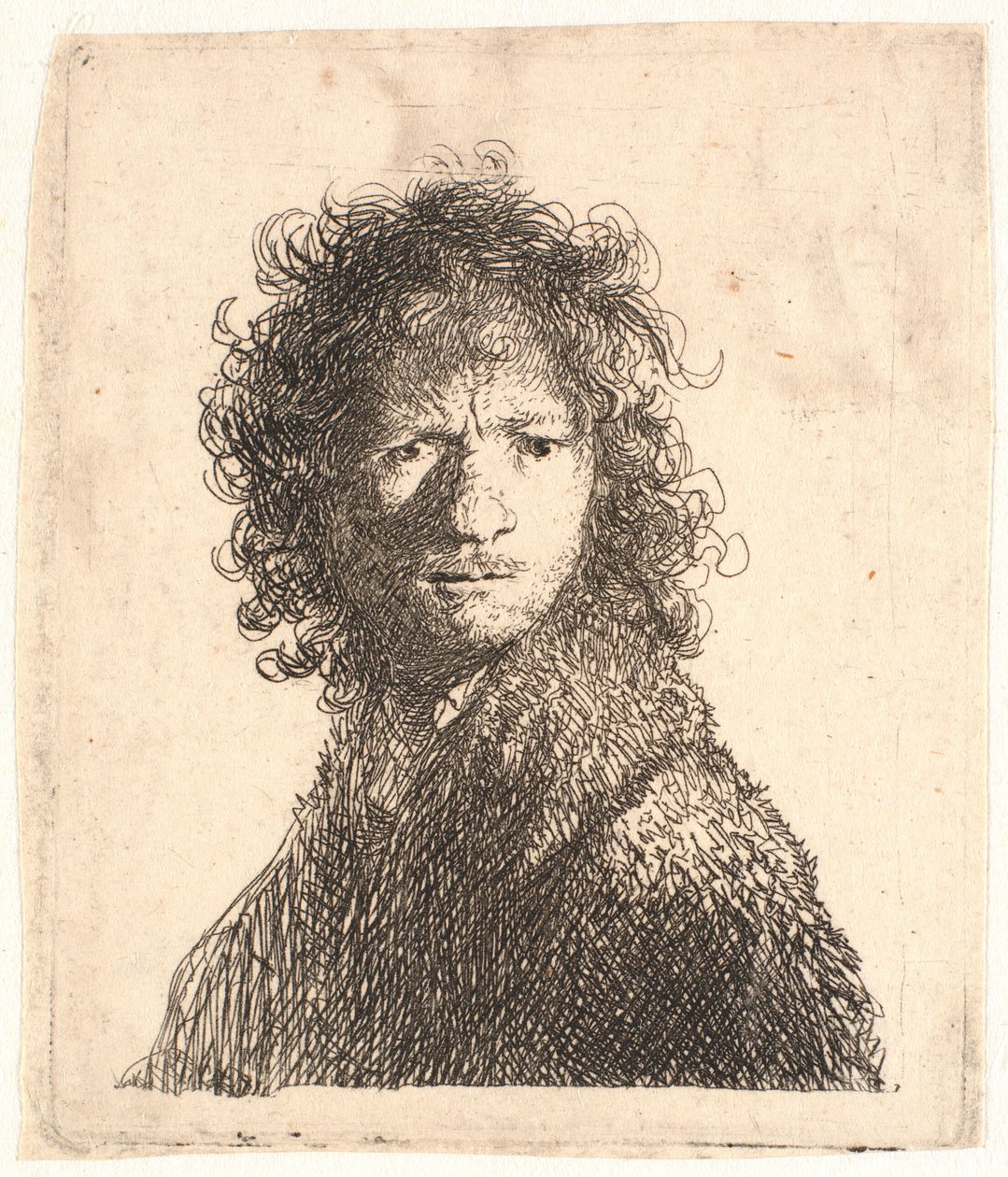 伦勃朗（Rembrandt）头像，右侧光线锐利：侧视：半身像 作者 伦勃朗·范·赖恩