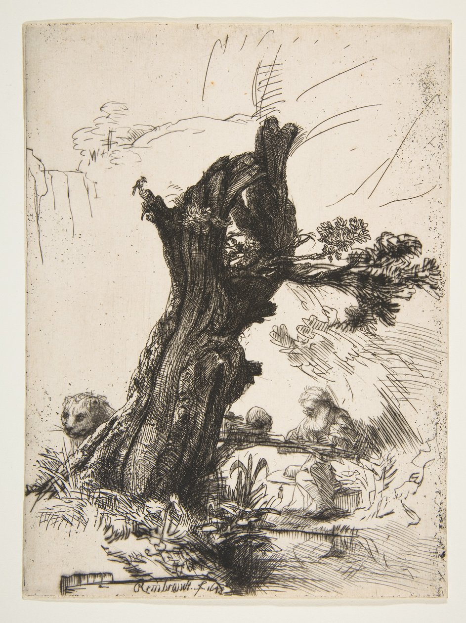 波拉德柳树旁的圣杰罗姆，1648年。 作者 伦勃朗·范·赖恩