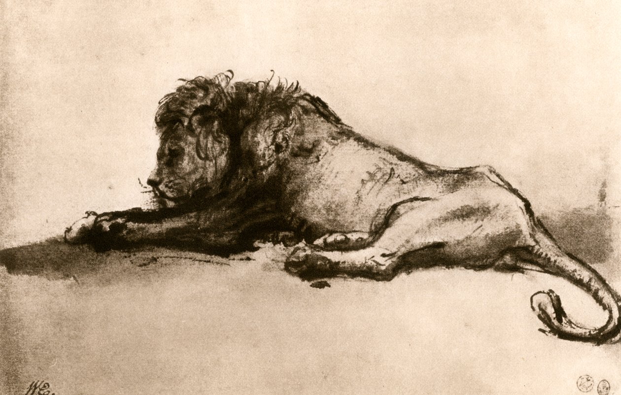 《狮子研究》，1913年。 作者 伦勃朗·范·赖恩