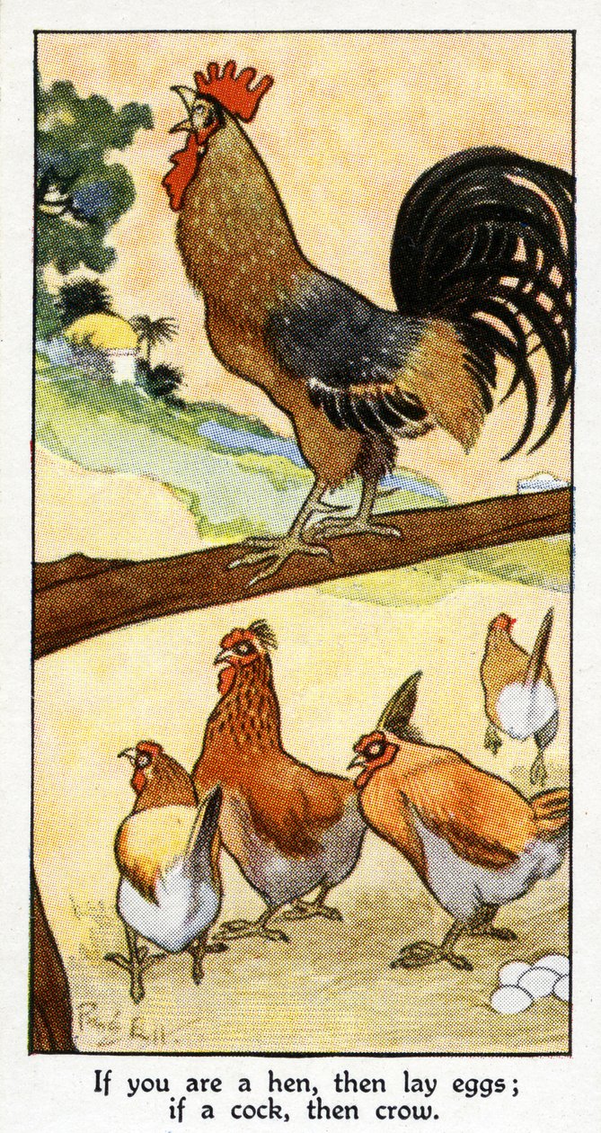 &39;如果你是一只母鸡，那就下蛋;如果一只公鸡，那么乌鸦&39;，1931年（另见498193） 作者 雷内·布尔