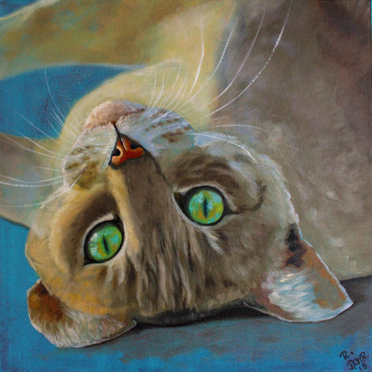 猫运气 作者 Renate Dohr