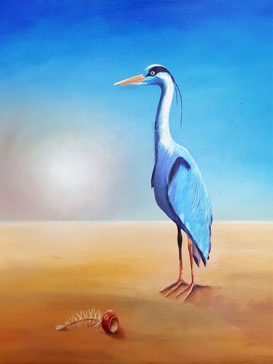 苍鹭 作者 Renate Dohr