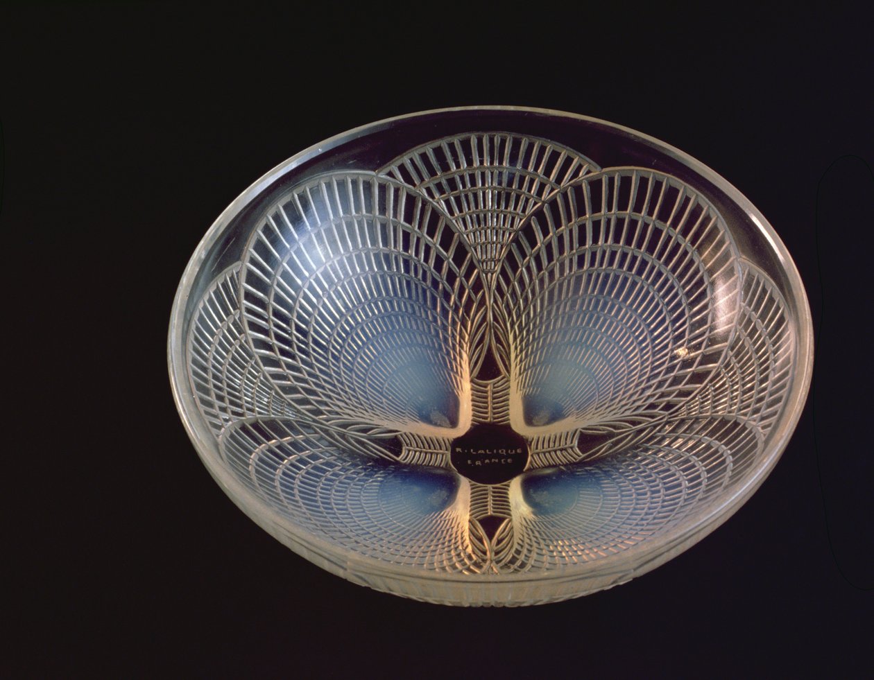 Coquilles，一种乳白色玻璃花瓶，由Lalique模塑成覆盖的扇贝贝壳 作者 勒内·朱尔斯·拉利克