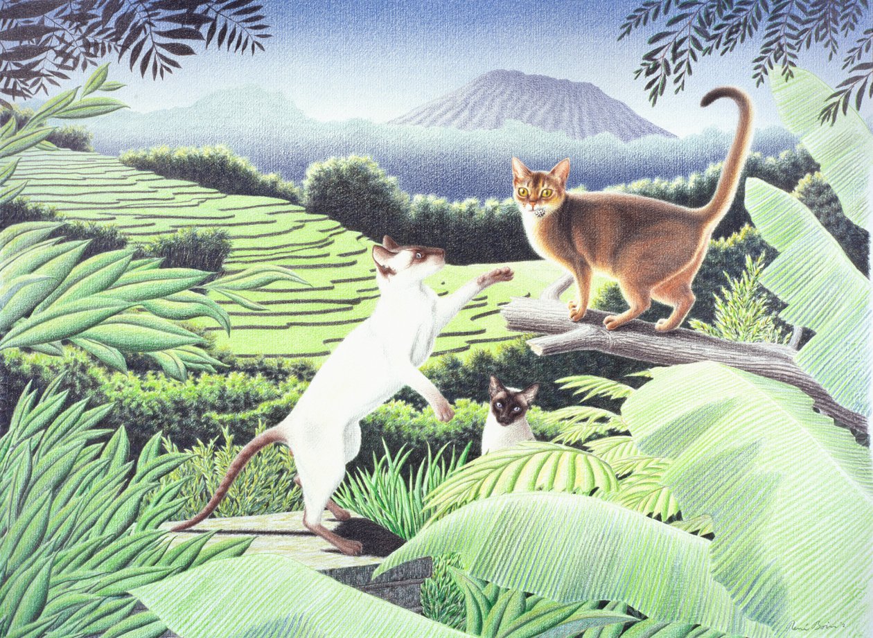 巴厘岛，2002 年，纸上彩色铅笔画 作者 勒内·博安