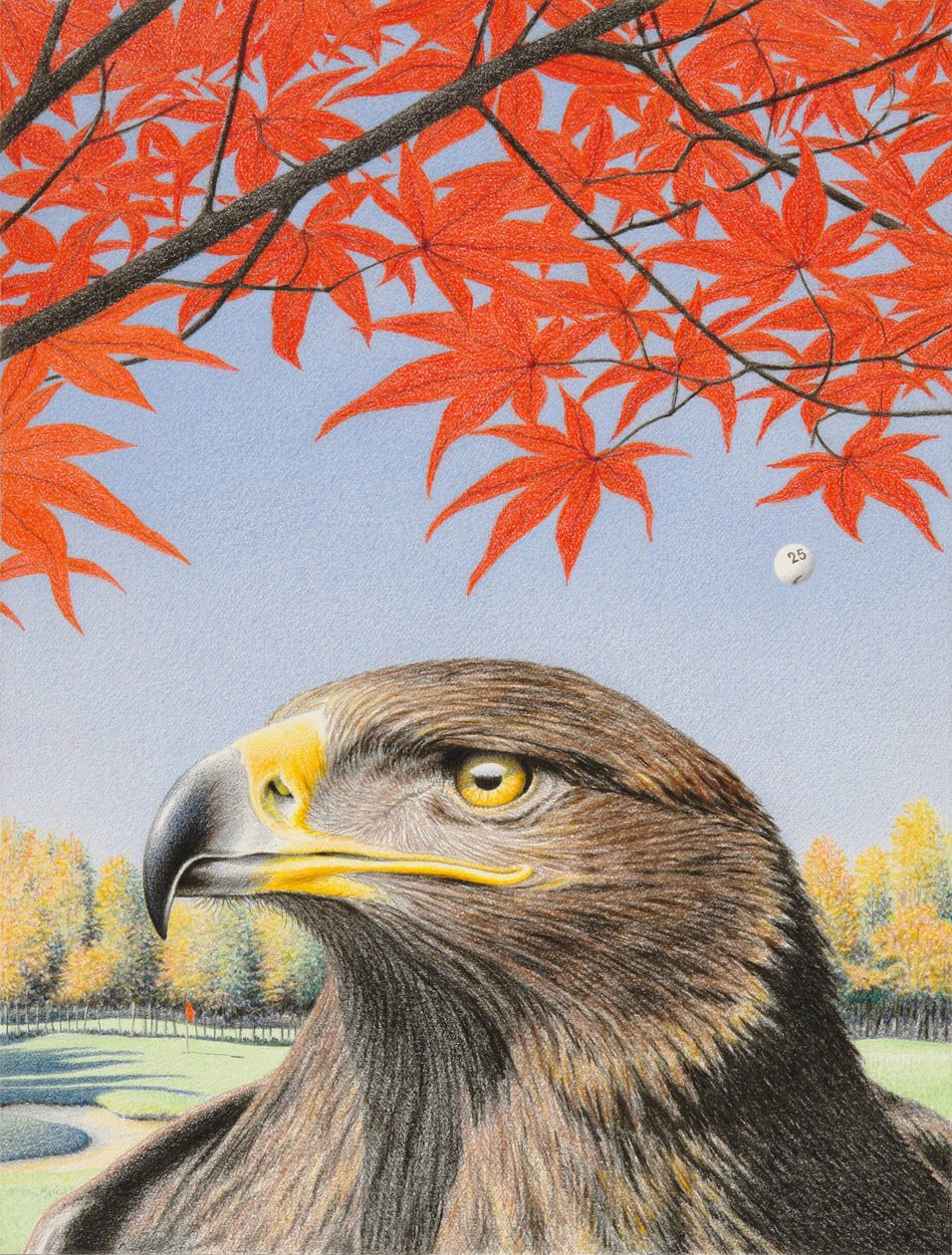 鹰》，2015 年，纸上彩色铅笔画 作者 勒内·博安