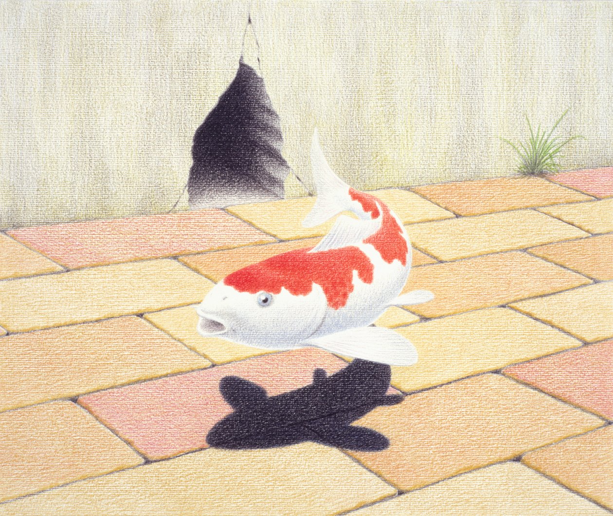 锦鲤 作者 勒内·博安