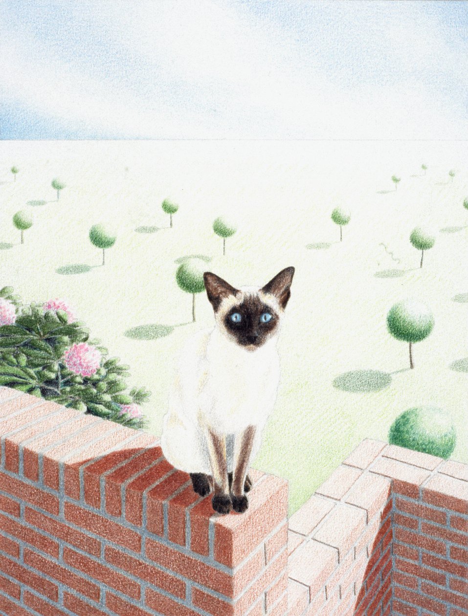 清酒 作者 勒内·博安