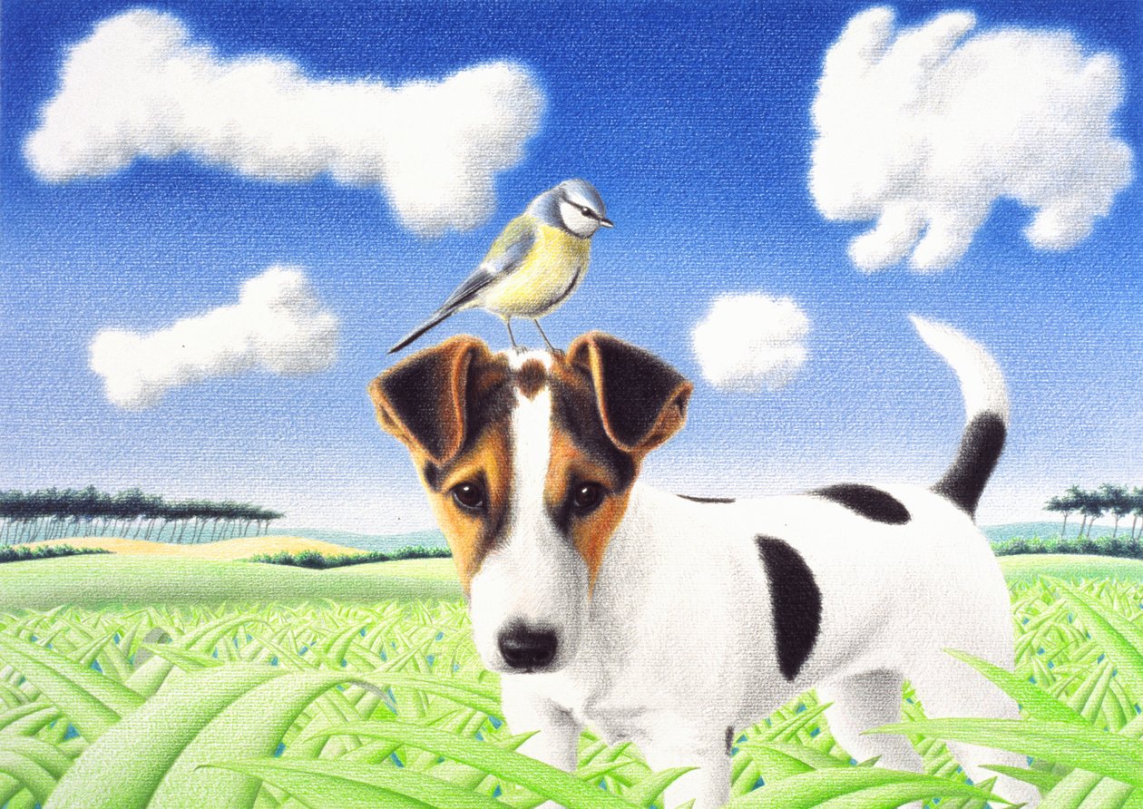 思考》，2004 年，纸上彩色铅笔画 作者 勒内·博安